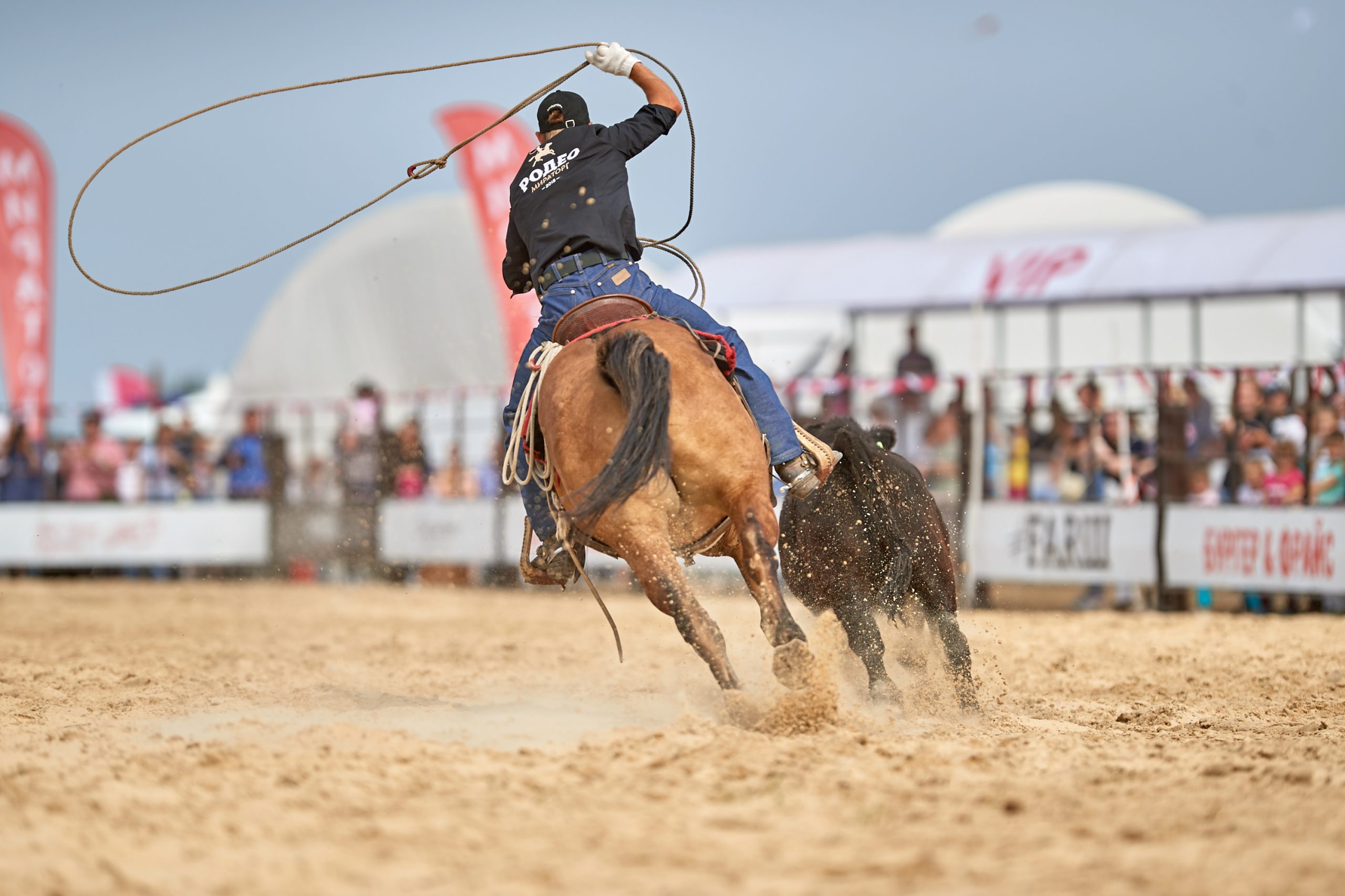 Budweiser accident sa rodeo 2023